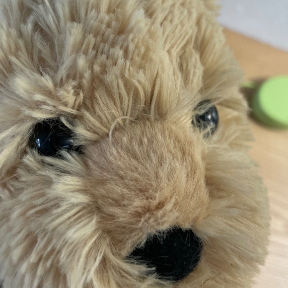 Walmart Yorkshire Terrier Yorkie Dog Walk Barks Green Leash Remote Control VIDEO - Picture 5 of 10